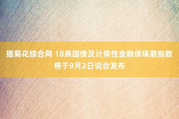 插菊花综合网 18条国债及计策性金融债琢磨指数将于9月2日说合发布