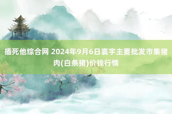 插死他综合网 2024年9月6日寰宇主要批发市集猪肉(白条猪)价钱行情