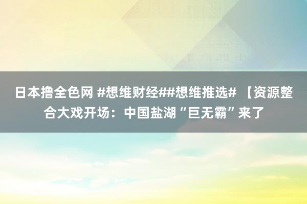 日本撸全色网 #想维财经##想维推选# 【资源整合大戏开场：中国盐湖“巨无霸”来了