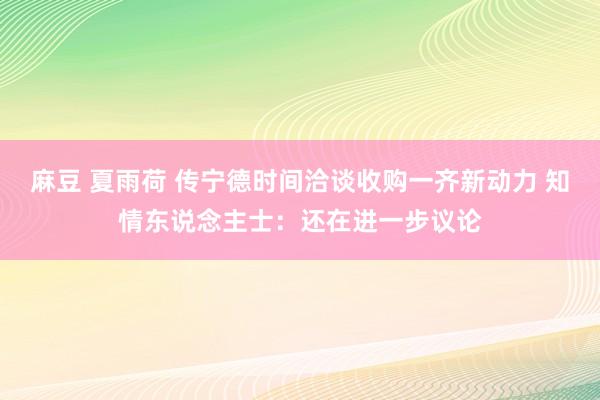 麻豆 夏雨荷 传宁德时间洽谈收购一齐新动力 知情东说念主士：还在进一步议论