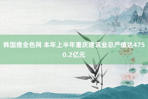 韩国撸全色网 本年上半年重庆建筑业总产值达4750.2亿元