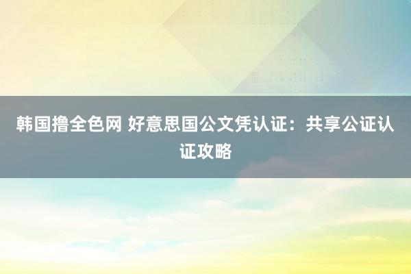 韩国撸全色网 好意思国公文凭认证：共享公证认证攻略