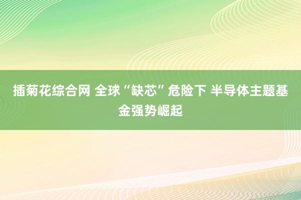 插菊花综合网 全球“缺芯”危险下 半导体主题基金强势崛起