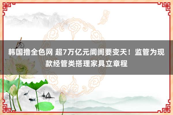 韩国撸全色网 超7万亿元阛阓要变天！监管为现款经管类搭理家具立章程