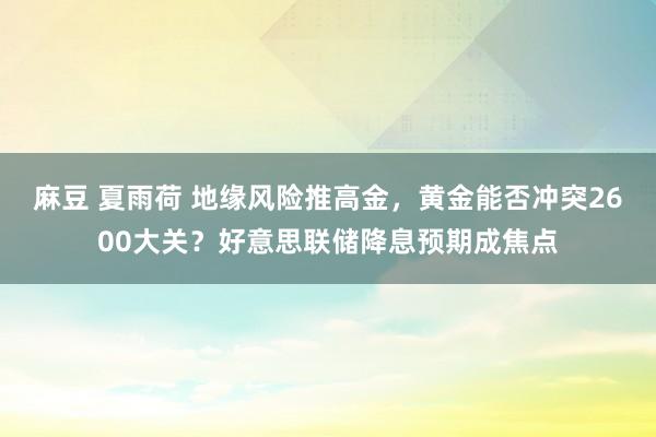 麻豆 夏雨荷 地缘风险推高金，黄金能否冲突2600大关？好意思联储降息预期成焦点