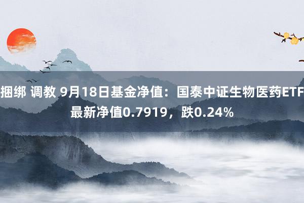 捆绑 调教 9月18日基金净值：国泰中证生物医药ETF最新净值0.7919，跌0.24%