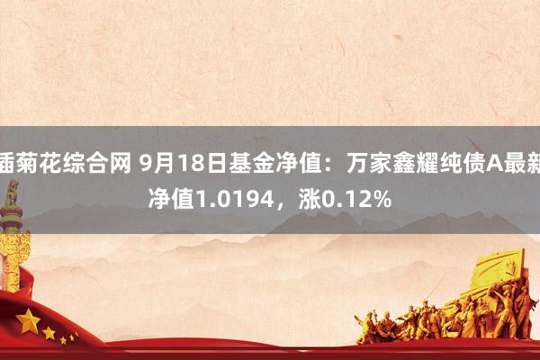 插菊花综合网 9月18日基金净值：万家鑫耀纯债A最新净值1.0194，涨0.12%