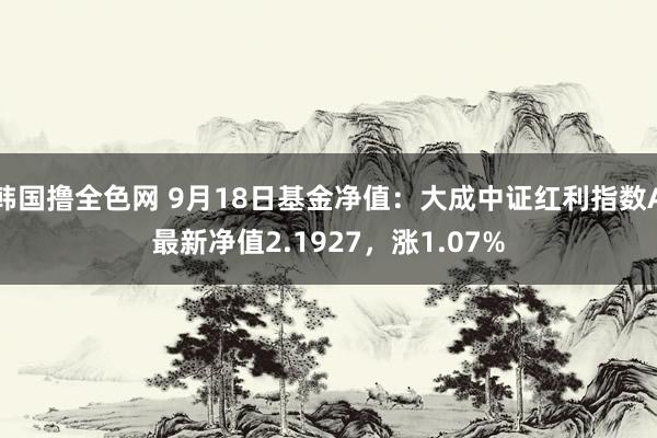 韩国撸全色网 9月18日基金净值：大成中证红利指数A最新净值2.1927，涨1.07%