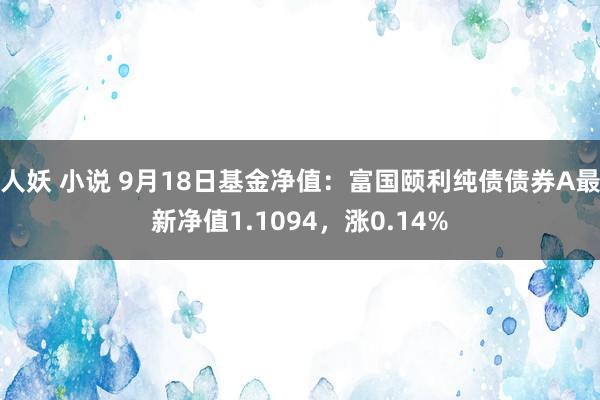 人妖 小说 9月18日基金净值：富国颐利纯债债券A最新净值1.1094，涨0.14%