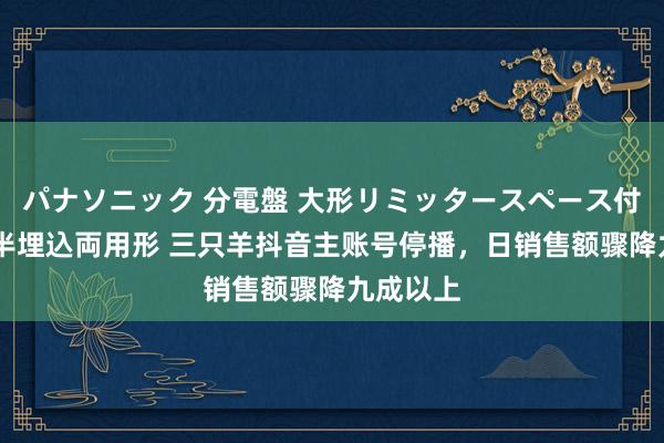 パナソニック 分電盤 大形リミッタースペース付 露出・半埋込両用形 三只羊抖音主账号停播，日销售额骤降九成以上