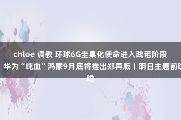 chloe 调教 环球6G圭臬化使命进入践诺阶段；华为“纯血”鸿蒙9月底将推出郑再版丨明日主题前瞻