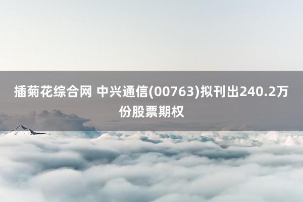 插菊花综合网 中兴通信(00763)拟刊出240.2万份股票期权