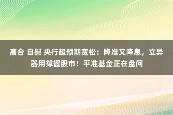 高合 自慰 央行超预期宽松：降准又降息，立异器用撑握股市！平准基金正在盘问