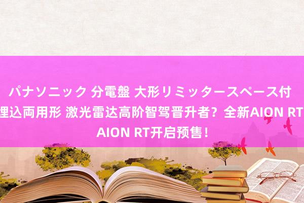 パナソニック 分電盤 大形リミッタースペース付 露出・半埋込両用形 激光雷达高阶智驾晋升者？全新AION RT开启预售！