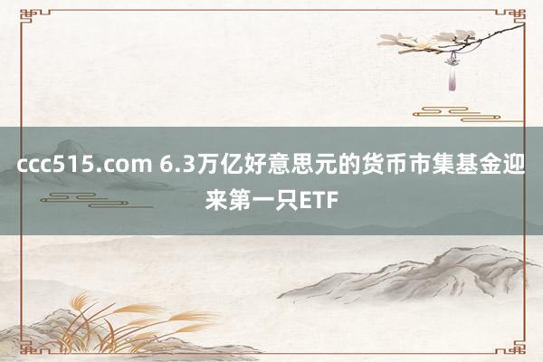 ccc515.com 6.3万亿好意思元的货币市集基金迎来第一只ETF