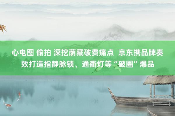 心电图 偷拍 深挖荫藏破费痛点  京东携品牌奏效打造指静脉锁、通衢灯等“破圈”爆品