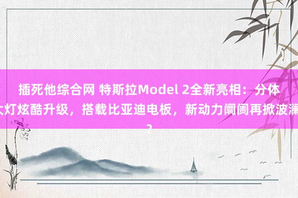 插死他综合网 特斯拉Model 2全新亮相：分体大灯炫酷升级，搭载比亚迪电板，新动力阛阓再掀波澜？