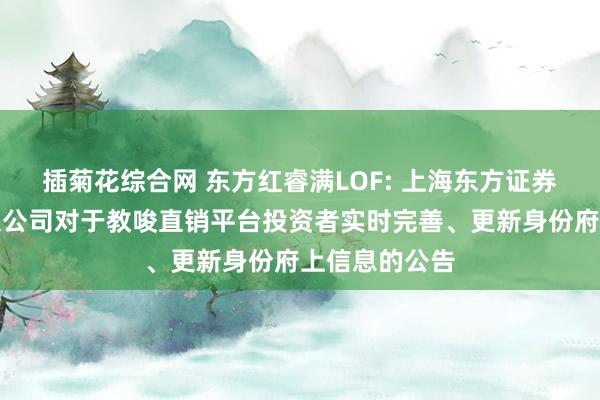 插菊花综合网 东方红睿满LOF: 上海东方证券财富措置有限公司对于教唆直销平台投资者实时完善、更新身份府上信息的公告