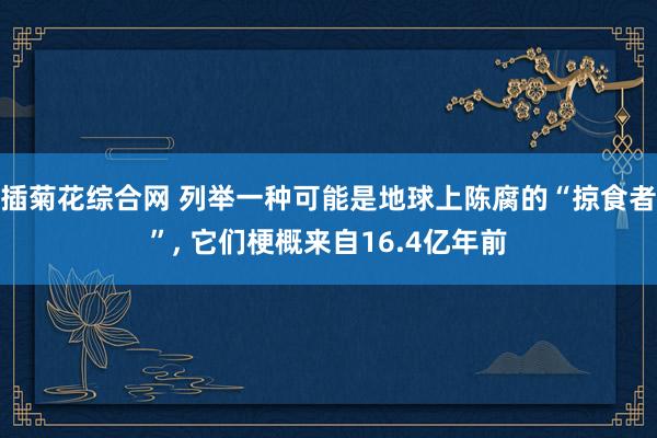 插菊花综合网 列举一种可能是地球上陈腐的“掠食者”， 它们梗概来自16.4亿年前