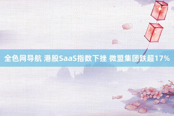 全色网导航 港股SaaS指数下挫 微盟集团跌超17%