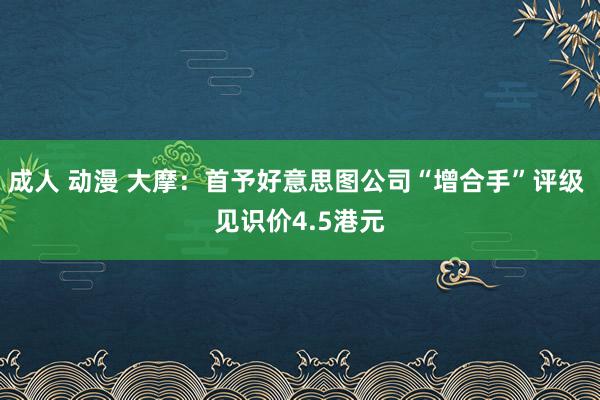 成人 动漫 大摩：首予好意思图公司“增合手”评级 见识价4.5港元