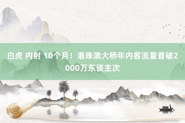 白虎 内射 10个月！港珠澳大桥年内客流量首破2000万东谈主次