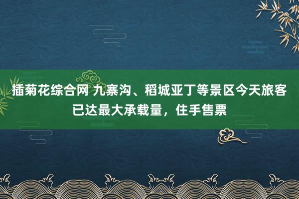 插菊花综合网 九寨沟、稻城亚丁等景区今天旅客已达最大承载量，住手售票