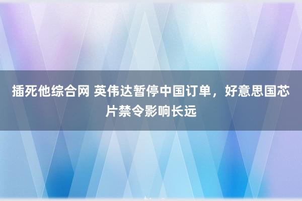 插死他综合网 英伟达暂停中国订单，好意思国芯片禁令影响长远