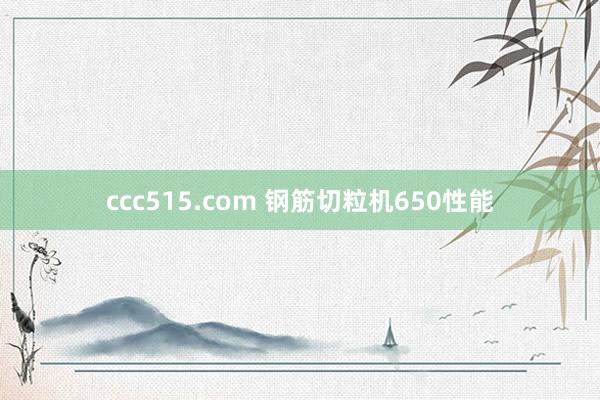 ccc515.com 钢筋切粒机650性能