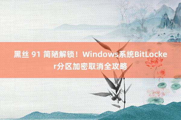 黑丝 91 简陋解锁！Windows系统BitLocker分区加密取消全攻略