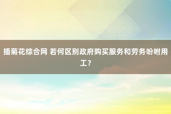 插菊花综合网 若何区别政府购买服务和劳务吩咐用工？