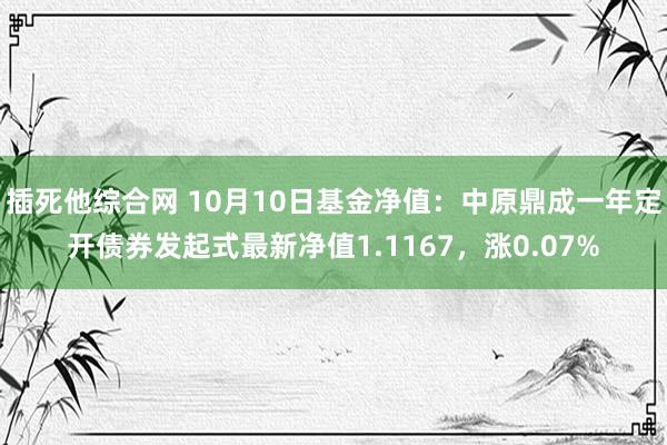 插死他综合网 10月10日基金净值：中原鼎成一年定开债券发起式最新净值1.1167，涨0.07%