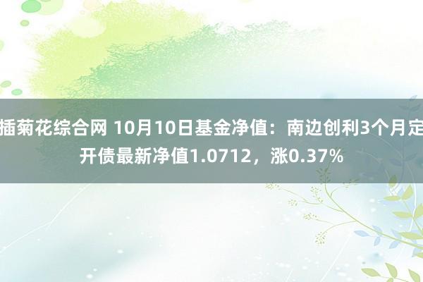 插菊花综合网 10月10日基金净值：南边创利3个月定开债最新净值1.0712，涨0.37%