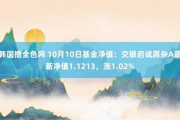 韩国撸全色网 10月10日基金净值：交银启诚羼杂A最新净值1.1213，涨1.02%