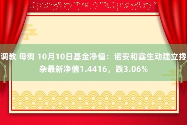 调教 母狗 10月10日基金净值：诺安和鑫生动建立搀杂最新净值1.4416，跌3.06%