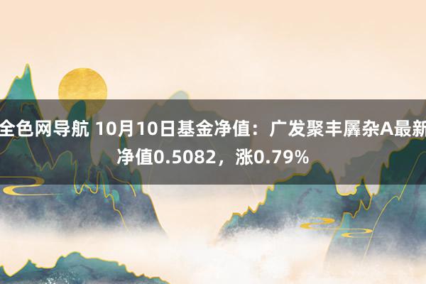 全色网导航 10月10日基金净值：广发聚丰羼杂A最新净值0.5082，涨0.79%