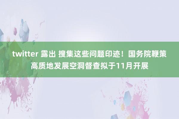 twitter 露出 搜集这些问题印迹！国务院鞭策高质地发展空洞督查拟于11月开展