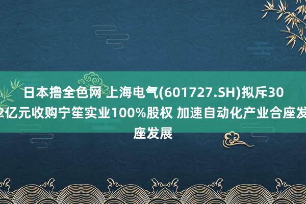 日本撸全色网 上海电气(601727.SH)拟斥30.82亿元收购宁笙实业100%股权 加速自动化产业合座发展