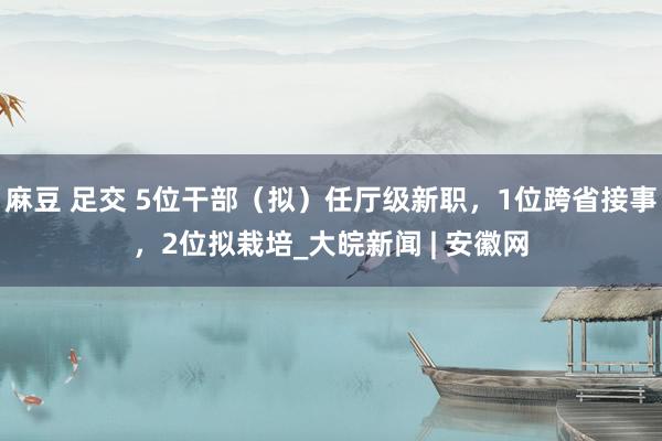 麻豆 足交 5位干部（拟）任厅级新职，1位跨省接事，2位拟栽培_大皖新闻 | 安徽网