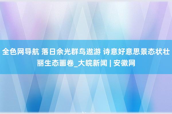 全色网导航 落日余光群鸟遨游 诗意好意思景态状壮丽生态画卷_大皖新闻 | 安徽网