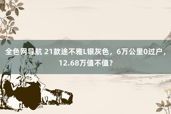 全色网导航 21款途不雅L银灰色，6万公里0过户，12.68万值不值？