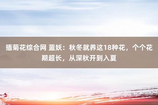 插菊花综合网 蓝妖：秋冬就养这18种花，个个花期超长，从深秋开到入夏