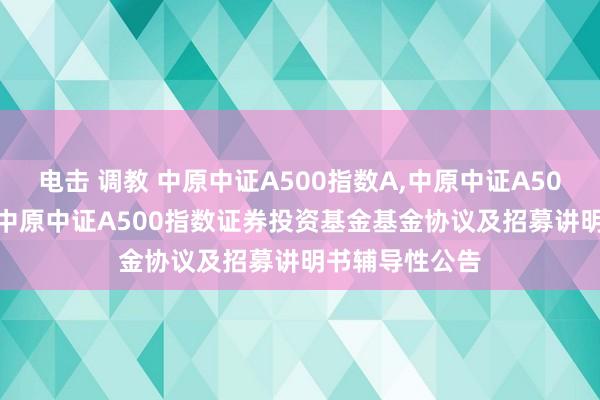 电击 调教 中原中证A500指数A，中原中证A500指数C: 对于中原中证A500指数证券投资基金基金协议及招募讲明书辅导性公告