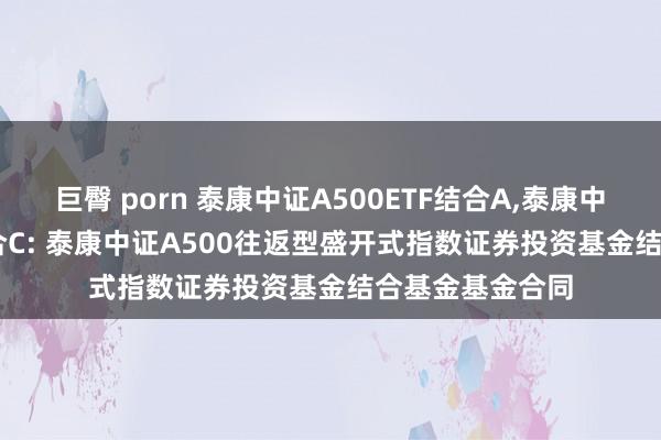 巨臀 porn 泰康中证A500ETF结合A，泰康中证A500ETF结合C: 泰康中证A500往返型盛开式指数证券投资基金结合基金基金合同