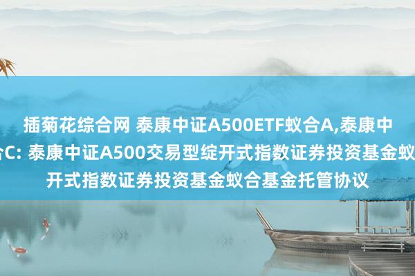 插菊花综合网 泰康中证A500ETF蚁合A，泰康中证A500ETF蚁合C: 泰康中证A500交易型绽开式指数证券投资基金蚁合基金托管协议