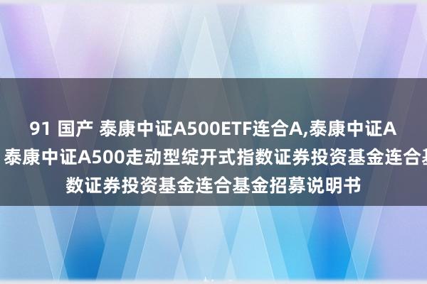 91 国产 泰康中证A500ETF连合A，泰康中证A500ETF连合C: 泰康中证A500走动型绽开式指数证券投资基金连合基金招募说明书