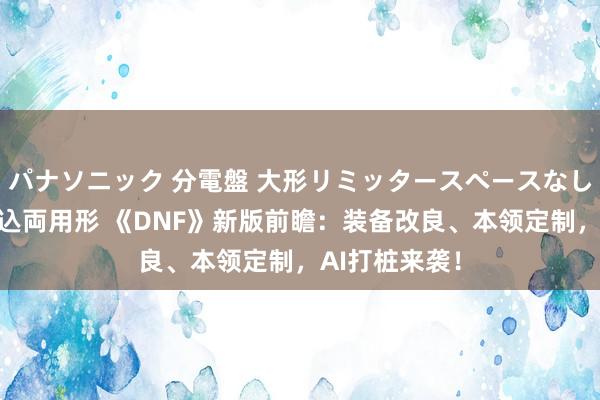 パナソニック 分電盤 大形リミッタースペースなし 露出・半埋込両用形 《DNF》新版前瞻：装备改良、本领定制，AI打桩来袭！