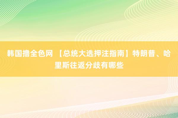 韩国撸全色网 【总统大选押注指南】特朗普、哈里斯往返分歧有哪些