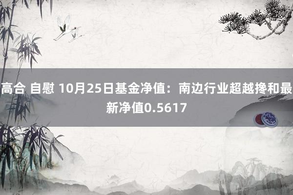 高合 自慰 10月25日基金净值：南边行业超越搀和最新净值0.5617