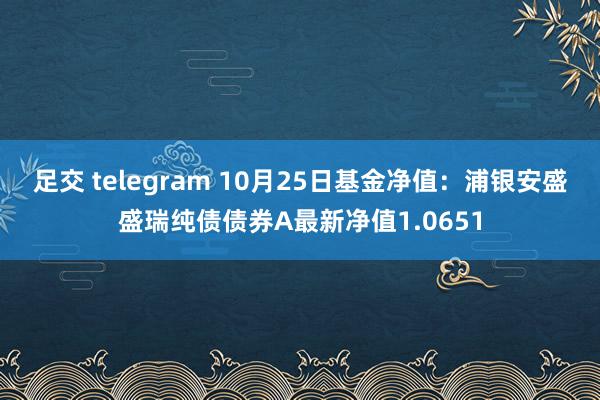 足交 telegram 10月25日基金净值：浦银安盛盛瑞纯债债券A最新净值1.0651